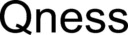 Trademark Logo QNESS