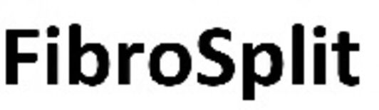 Trademark Logo FIBROSPLIT