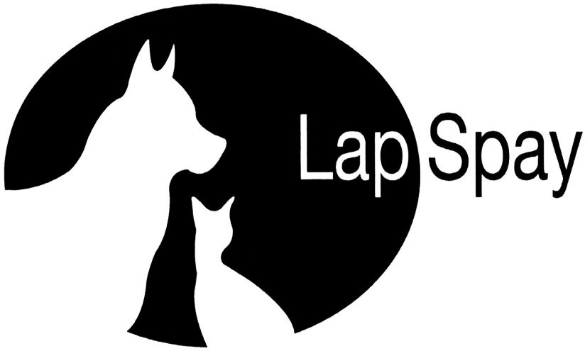 Trademark Logo LAP SPAY