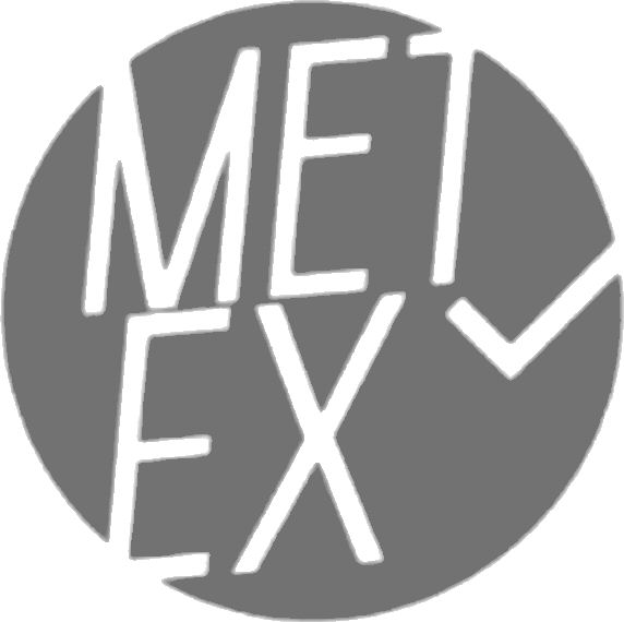 Trademark Logo METEX