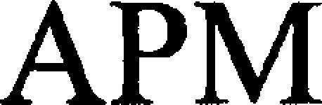 Trademark Logo APM