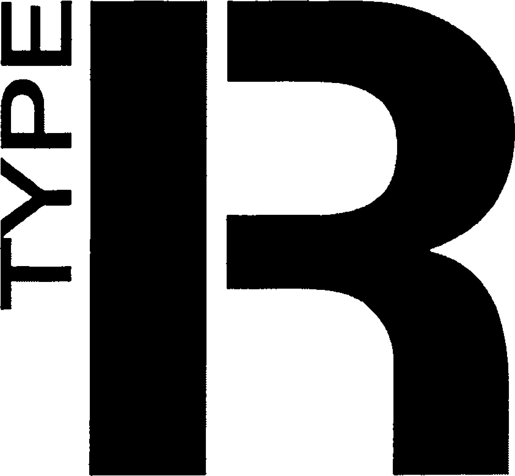 Trademark Logo TYPE R