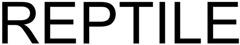 Trademark Logo REPTILE