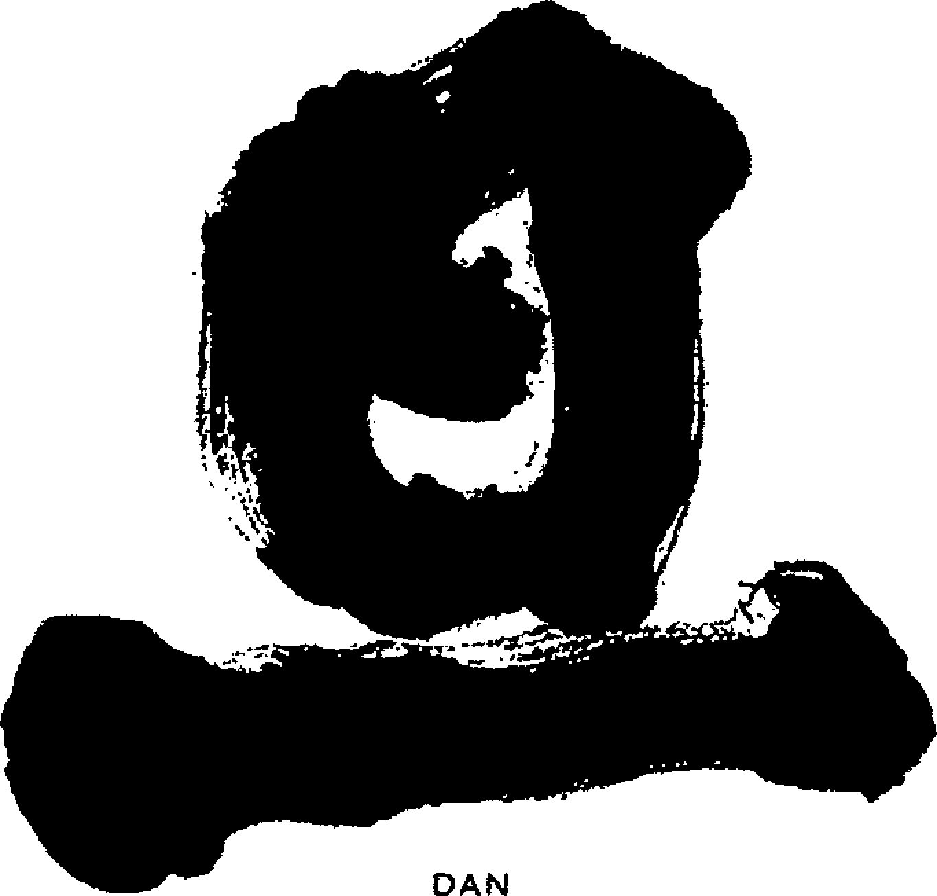 DAN