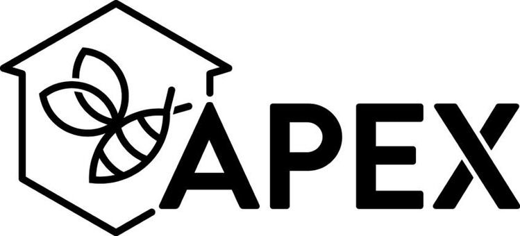 Trademark Logo APEX