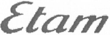Trademark Logo ETAM