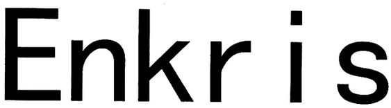 Trademark Logo ENKR IS