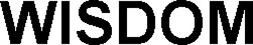 Trademark Logo WISDOM
