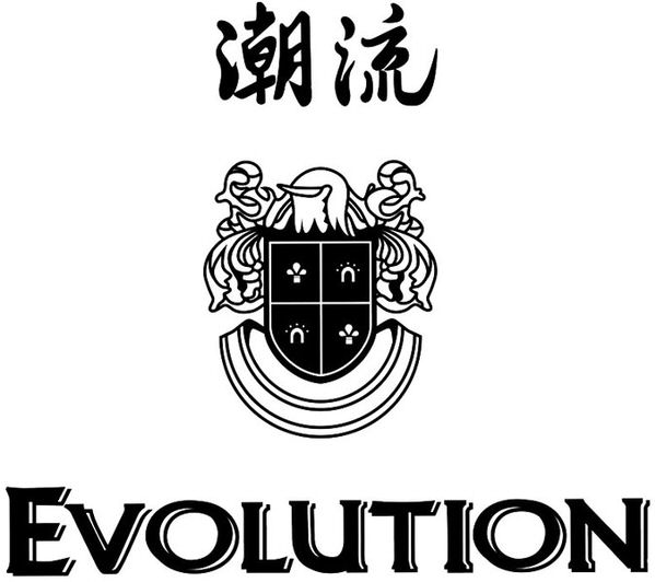 Trademark Logo EVOLUTION