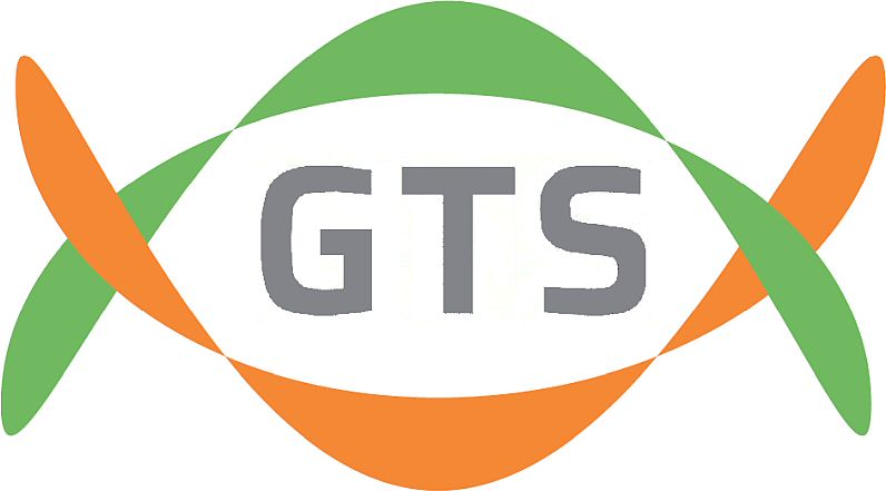 Trademark Logo GTS