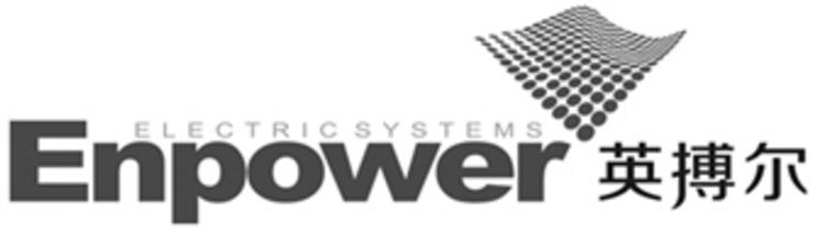  ELECTRIC SYSTEMS ENPOWER