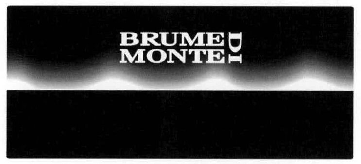 Trademark Logo BRUME DI MONTE