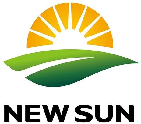 Trademark Logo NEW SUN