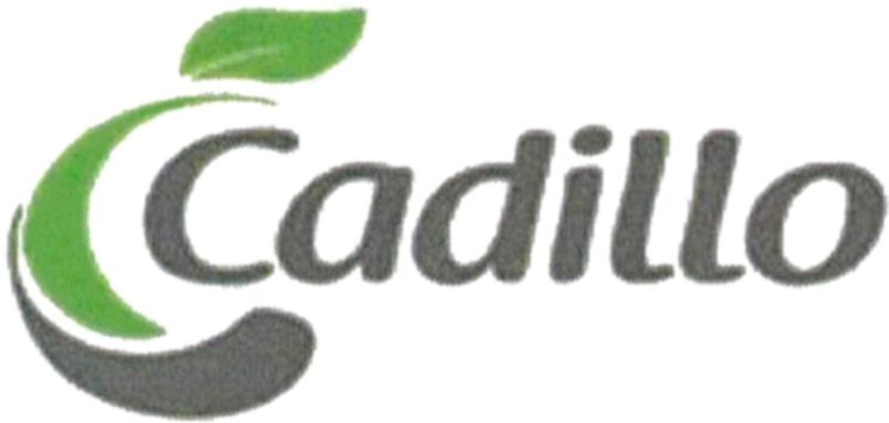  CADILLO