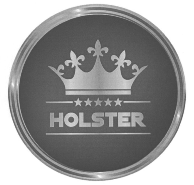 Trademark Logo HOLSTER