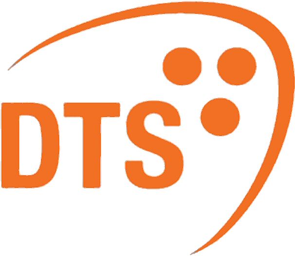 Trademark Logo DTS