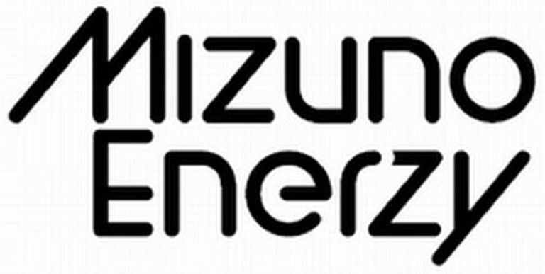 MIZUNO ENERGY