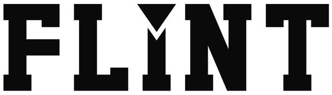 Trademark Logo FLINT
