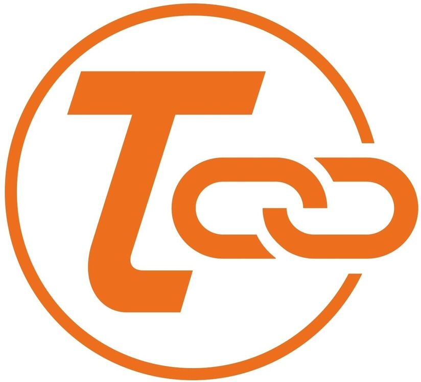 Trademark Logo TOO