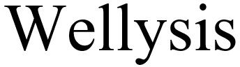  WELLYSIS