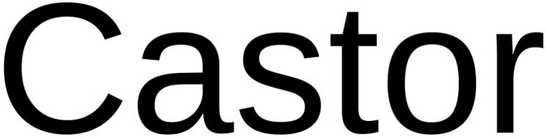 Trademark Logo CASTOR