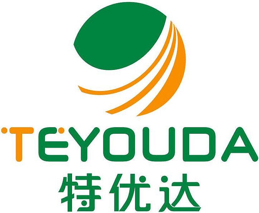 Trademark Logo TEYOUDA