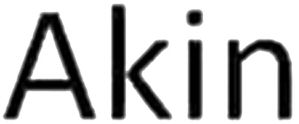 Trademark Logo AKIN