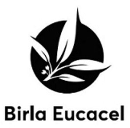  BIRLA EUCACEL