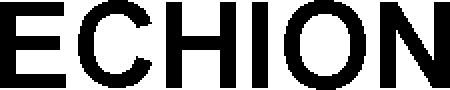Trademark Logo ECHION