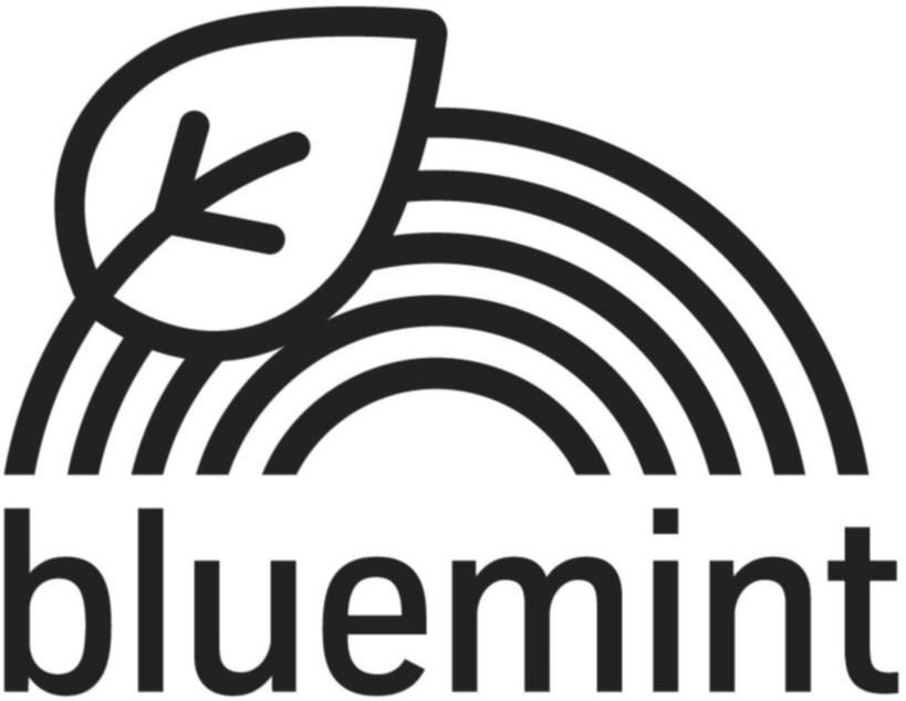 Trademark Logo BLUEMINT