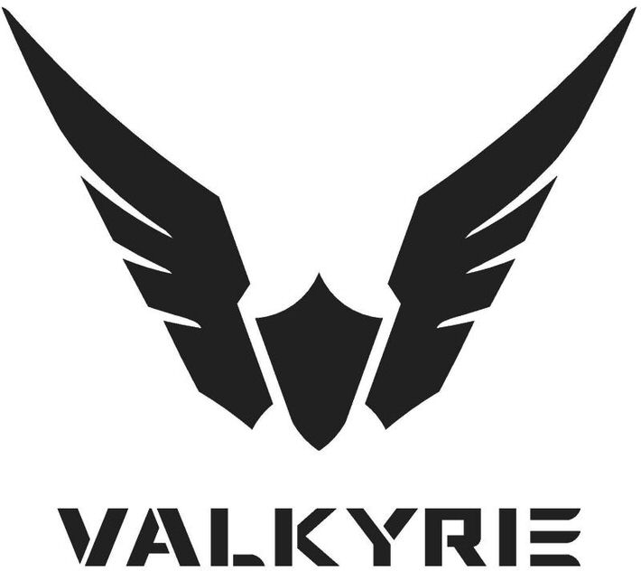 Trademark Logo VALKYRIE