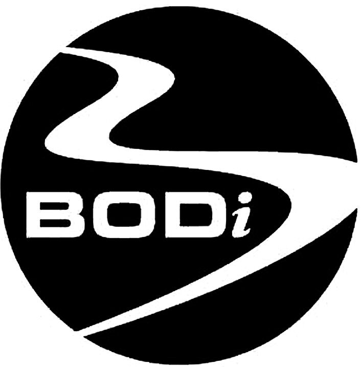 Trademark Logo BODI