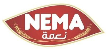 Trademark Logo NEMA