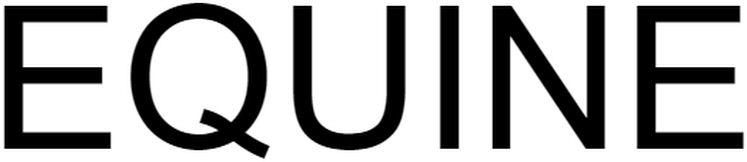 Trademark Logo EQUINE