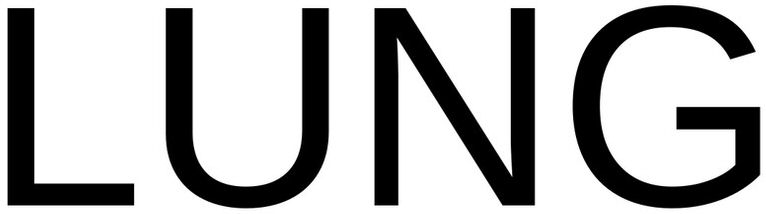 Trademark Logo LUNG