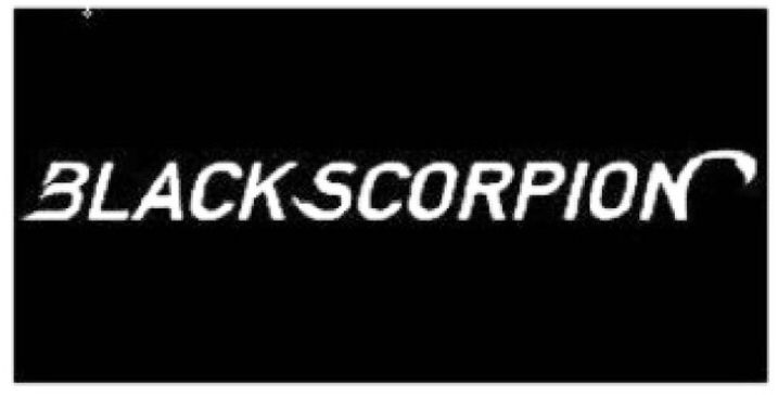 BLACK SCORPION