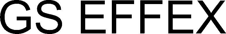 Trademark Logo GS EFFEX