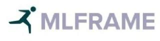 Trademark Logo MLFRAME