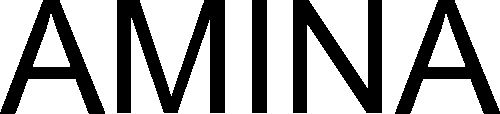 Trademark Logo AMINA