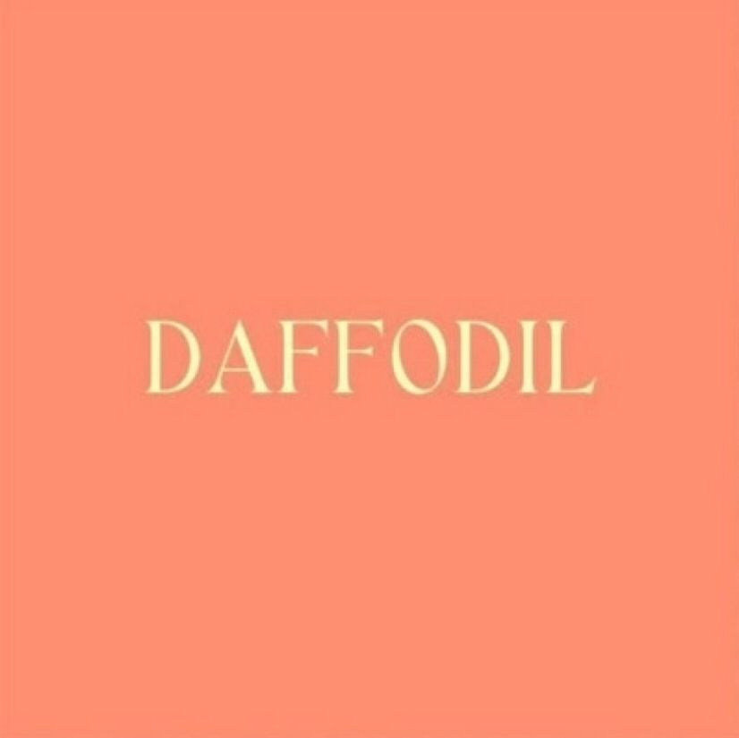 DAFFODIL