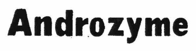 Trademark Logo ANDROZYME