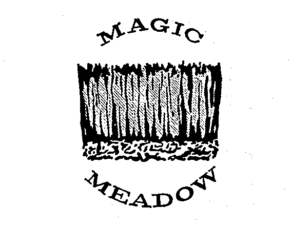 MAGIC MEADOW