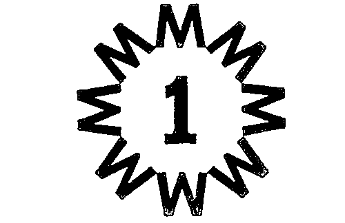 Trademark Logo NO. 1