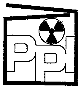 Trademark Logo PPI
