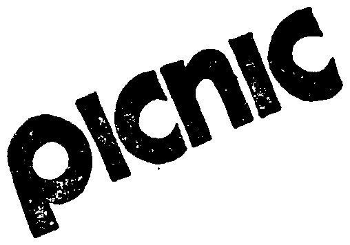 Trademark Logo PICNIC