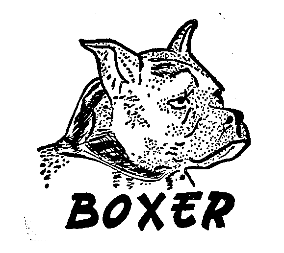 Trademark Logo BOXER
