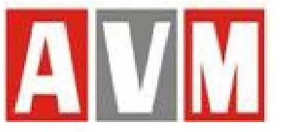  AVM