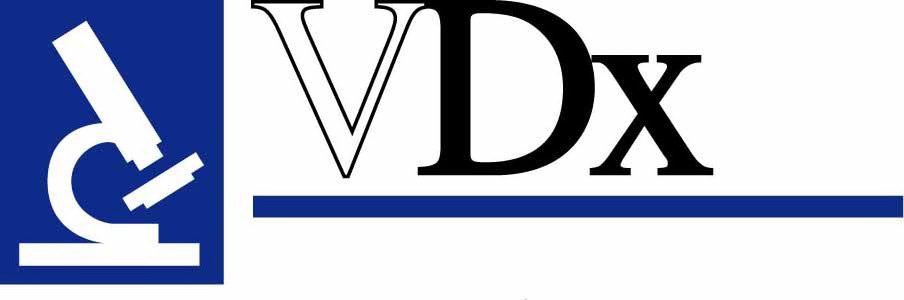 Trademark Logo VDX