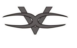 Trademark Logo V X