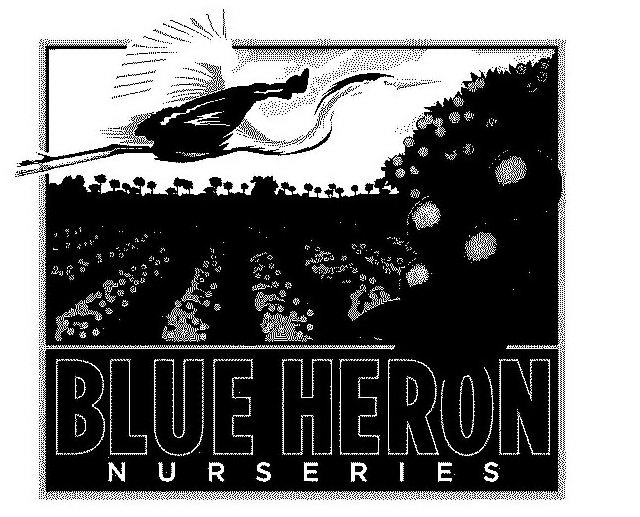 Trademark Logo BLUE HERON NURSERIES